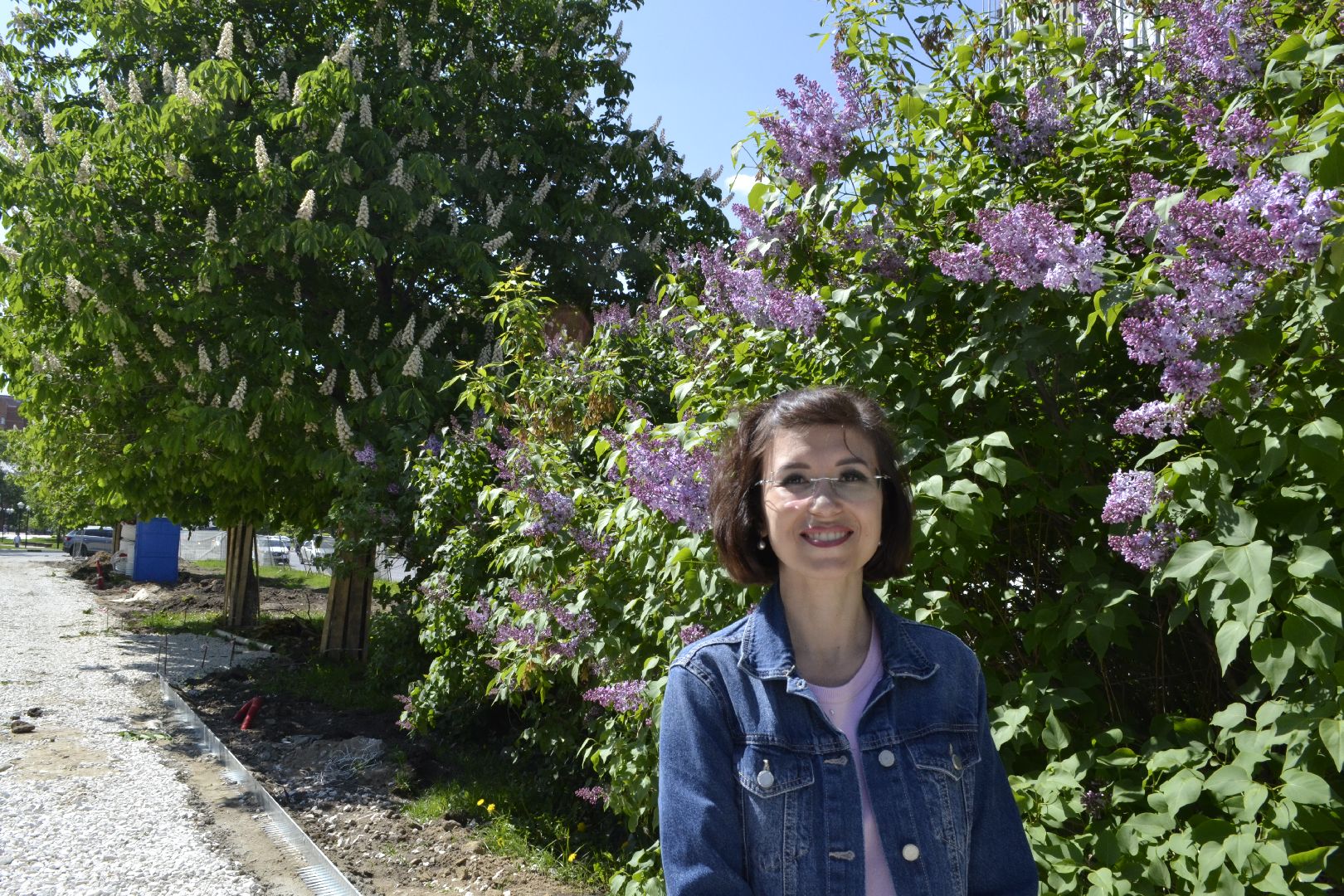 Балашиха, Подмосковье, благоустройство, бульвар цветов, каштановая аллея, сирень