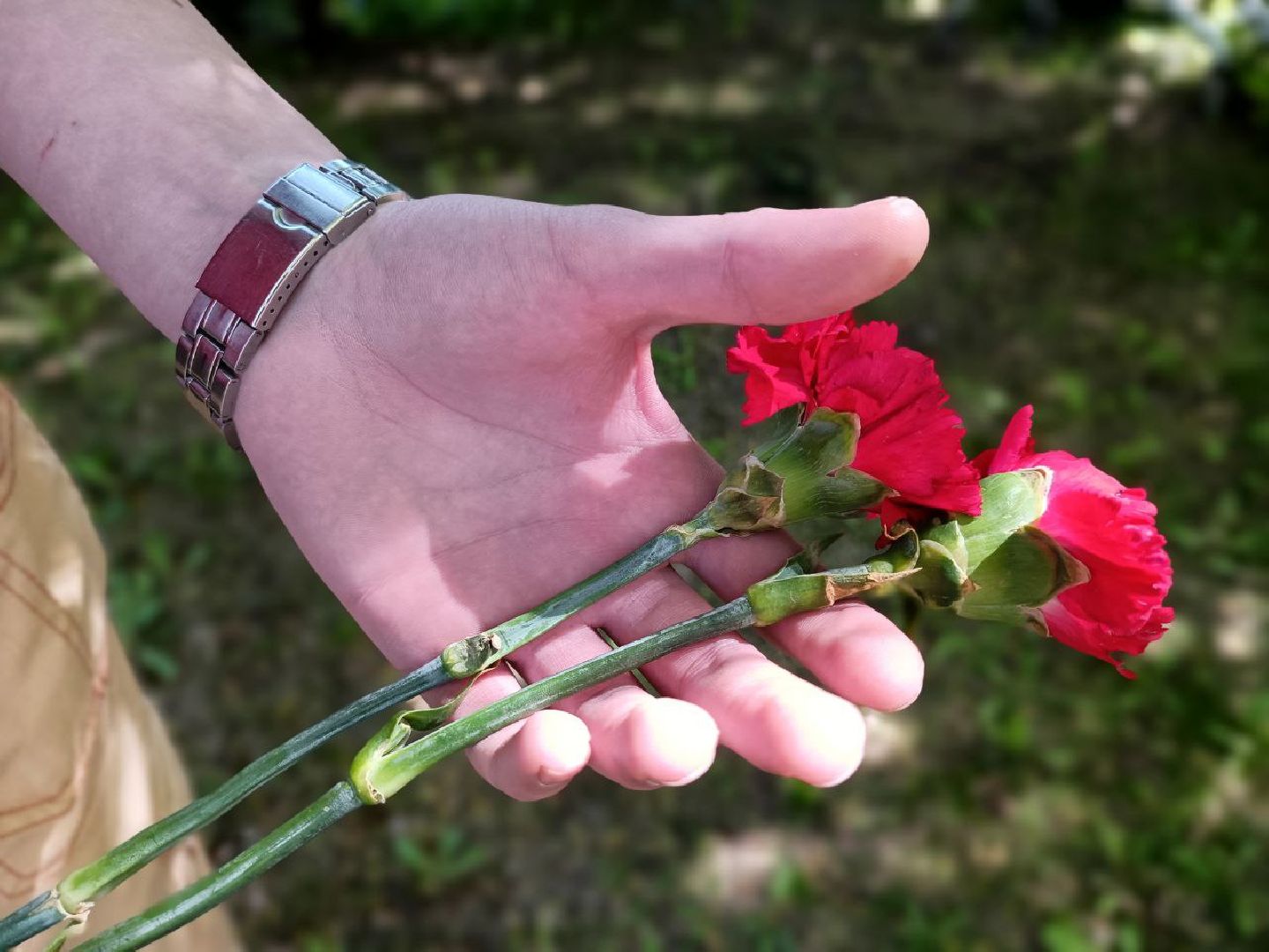 Можайск, Можайский городской округ, автопробег, День Победы, СВО, поддержка, военнослужащие, ветераны, Великая Отечественная война