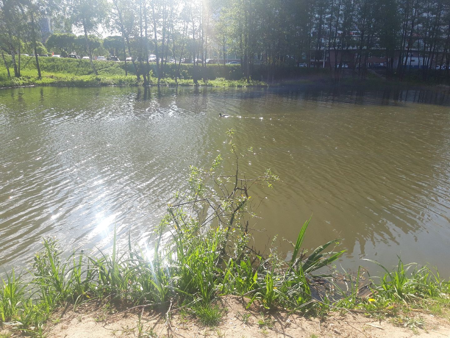 река, доброе дело,