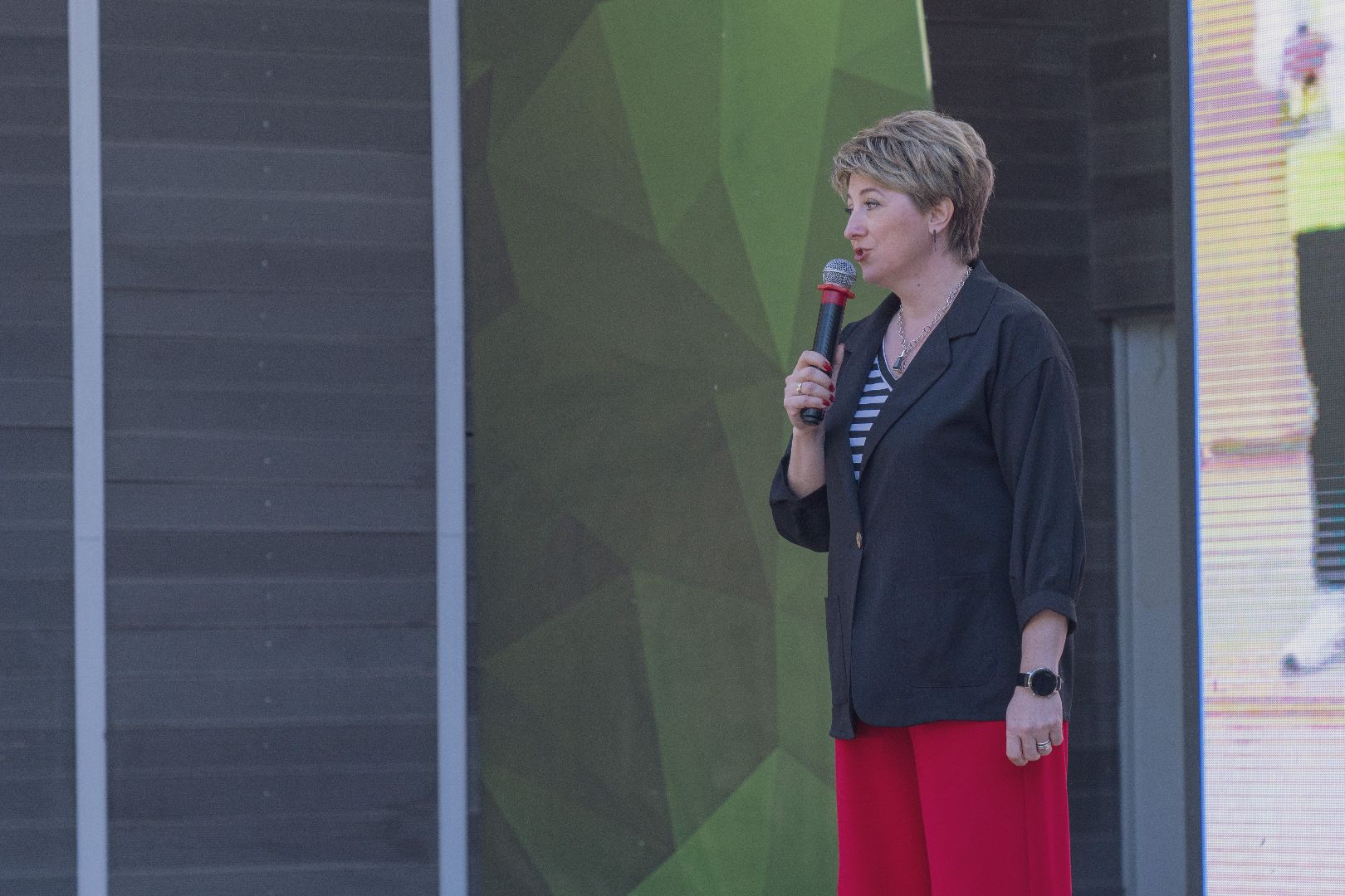 ЮИД, муниципальный слёт, Домодедово