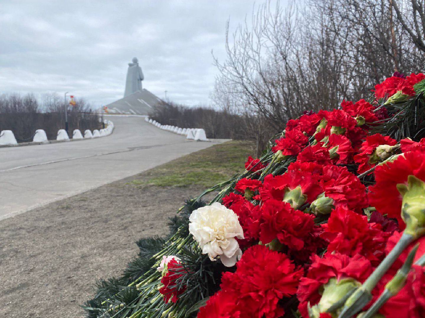 Солнечногорск, кадеты, слет, мурманск, команда
