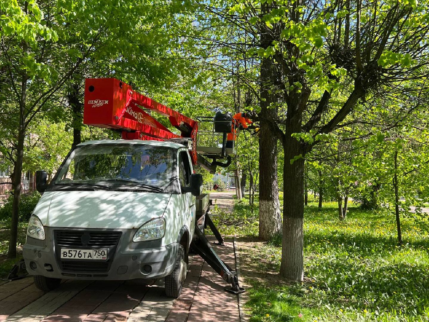 Солнечногорск, благоустройство, содержаниетерриторий, порядок, мбу