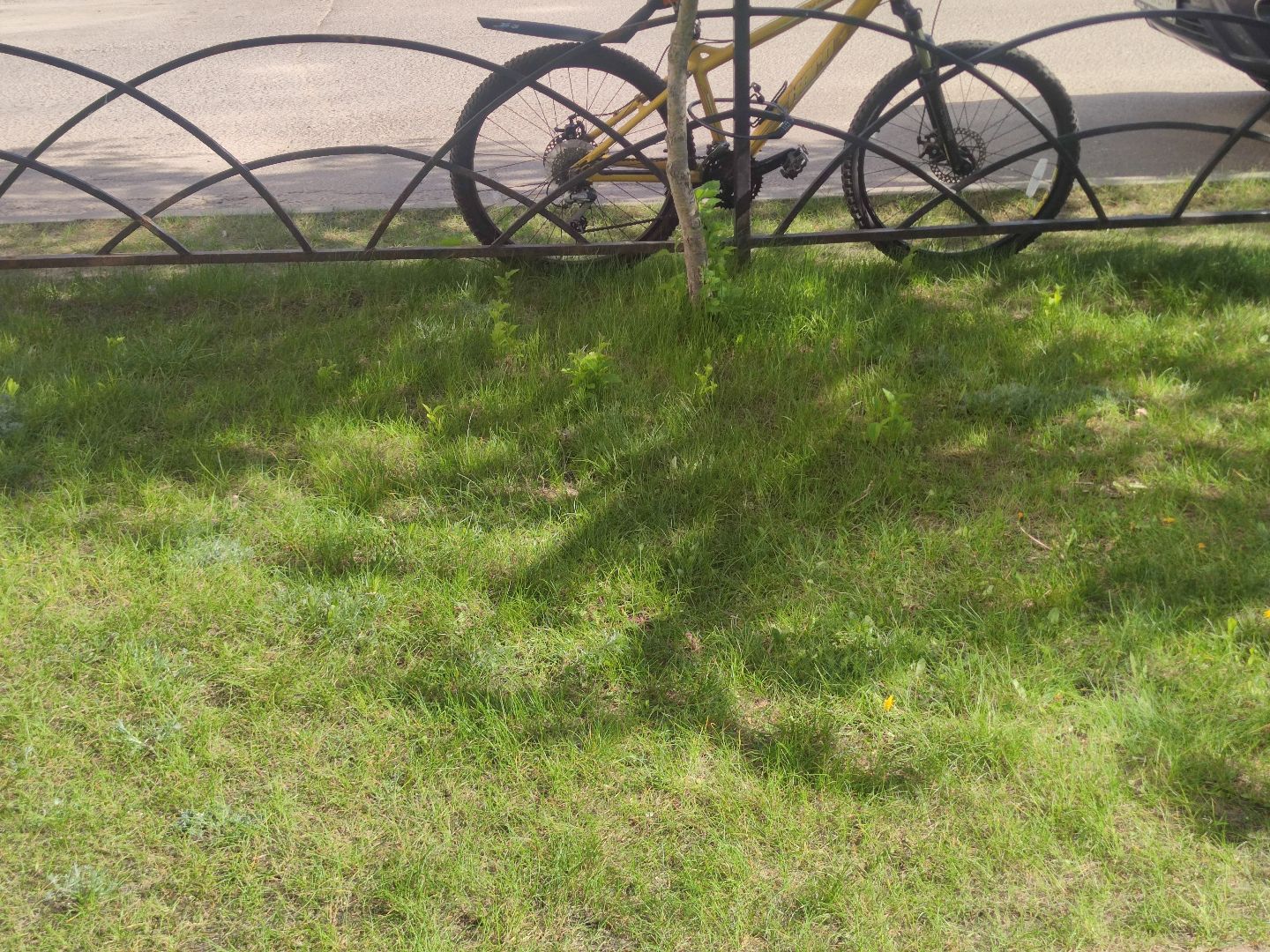 покос травы, двор, Дубна