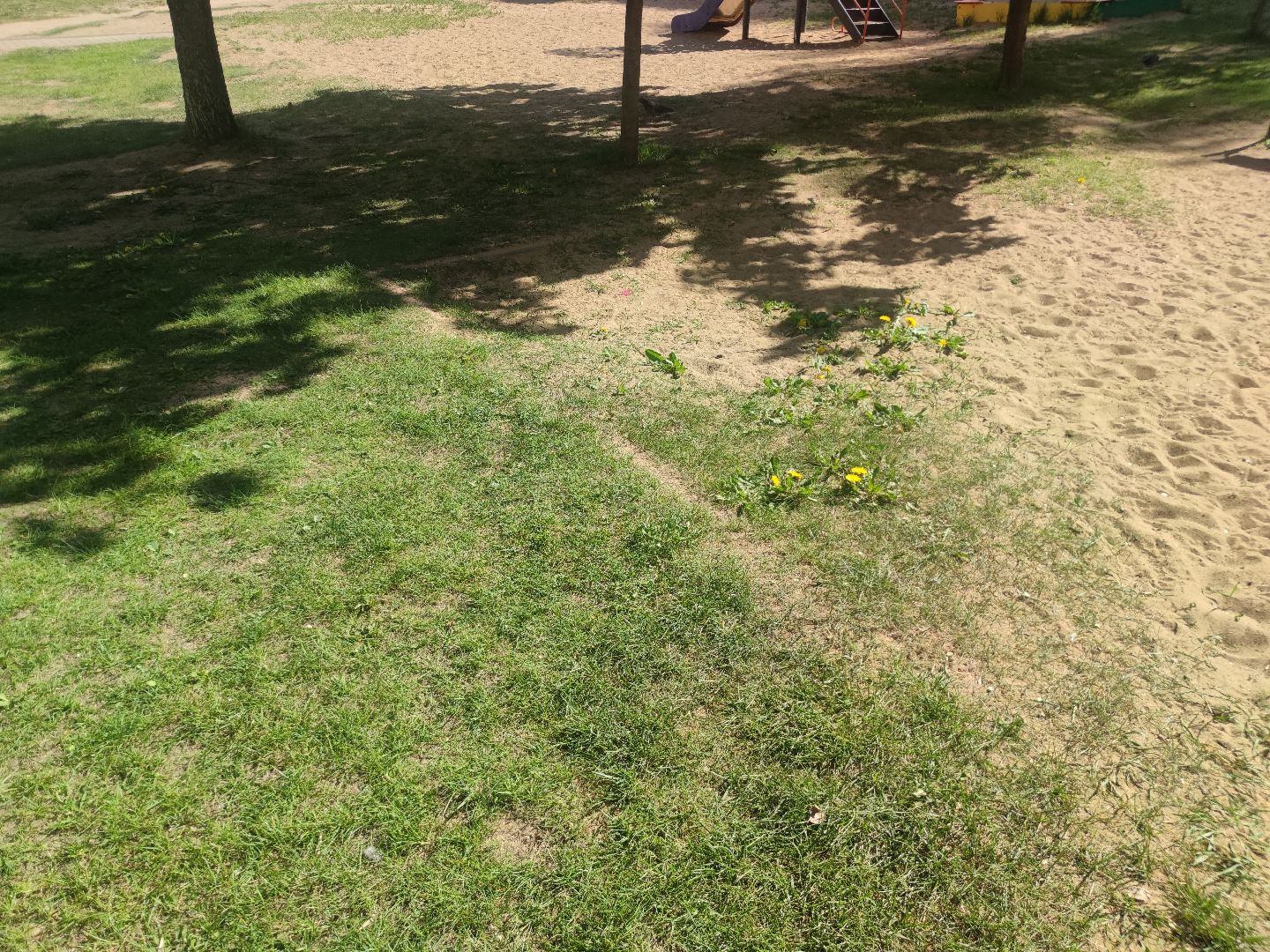 покос травы, двор, Дубна