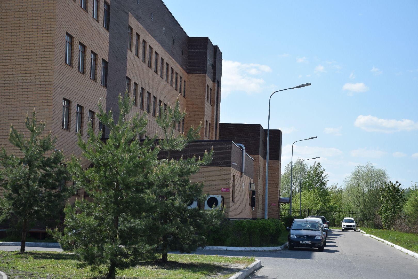 Павловский Посад, городской округ Павловский Посад, медицина, диспансеризация, жители