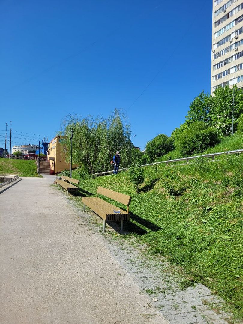 лето, ленинский округ, сезонные работы, покос