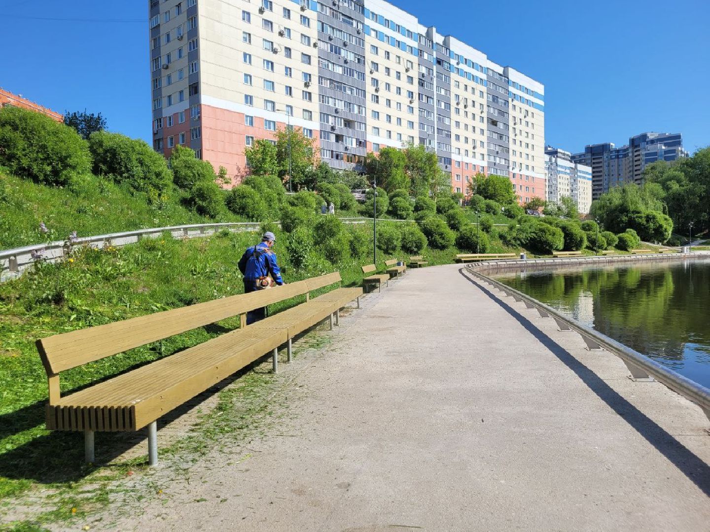 лето, ленинский округ, сезонные работы, покос