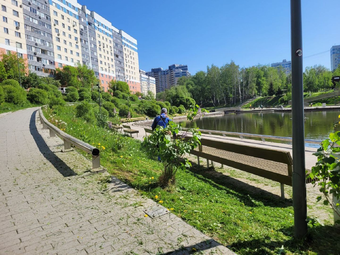 лето, ленинский округ, сезонные работы, покос