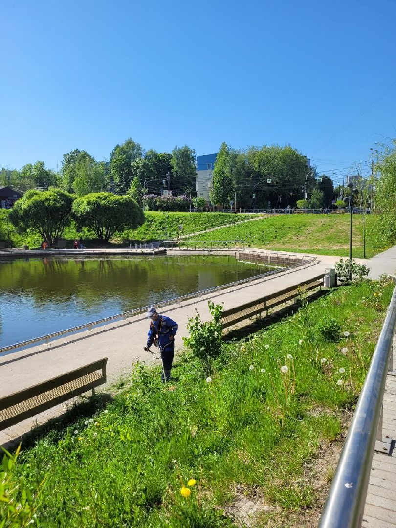 лето, ленинский округ, сезонные работы, покос