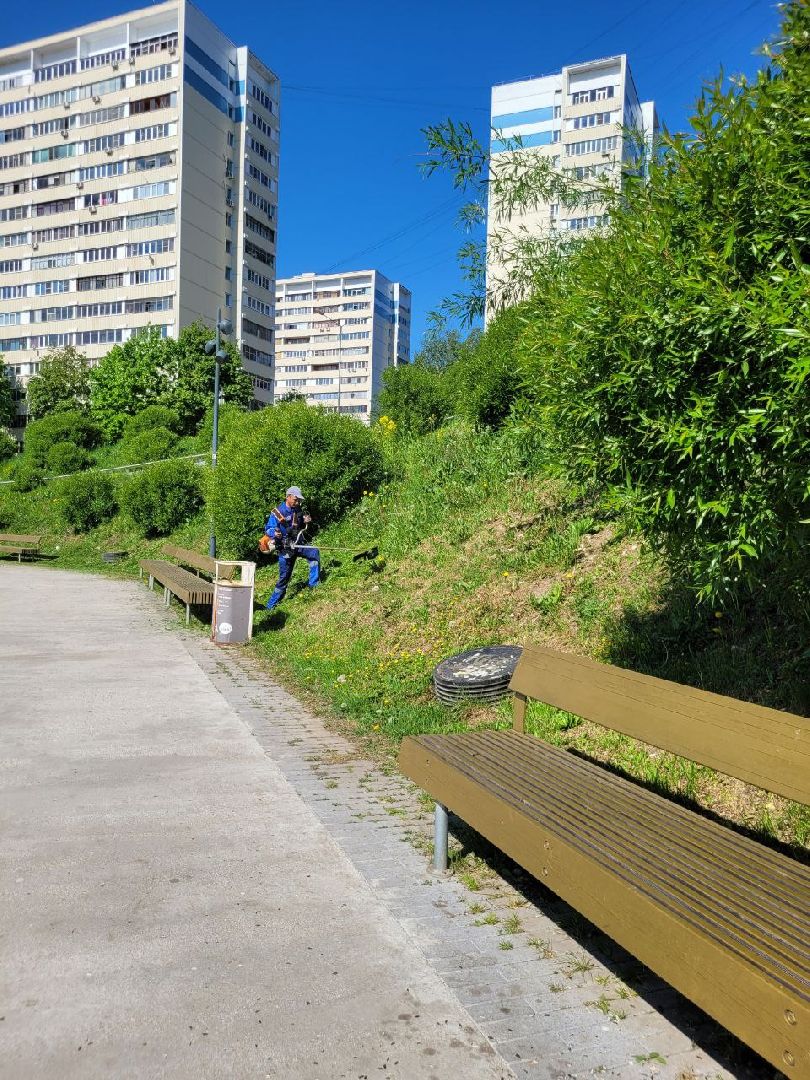 лето, ленинский округ, сезонные работы, покос