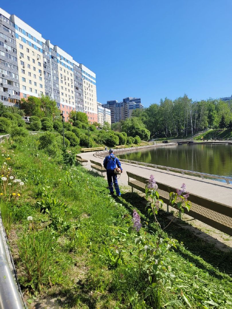 лето, ленинский округ, сезонные работы, покос