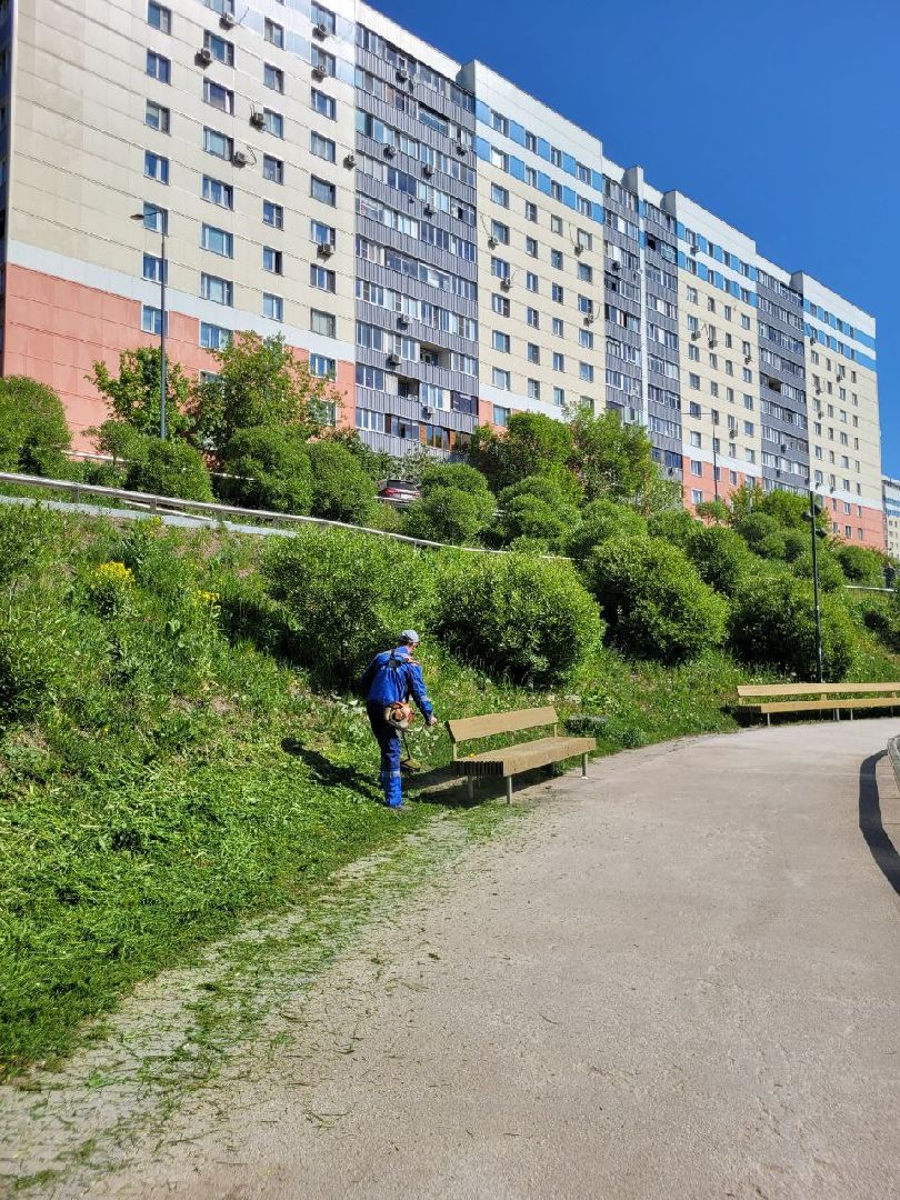 лето, ленинский округ, сезонные работы, покос