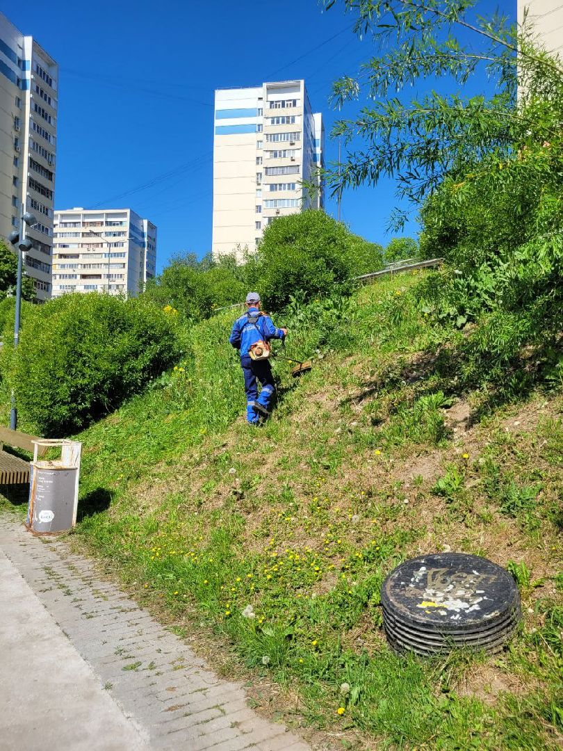 лето, ленинский округ, сезонные работы, покос