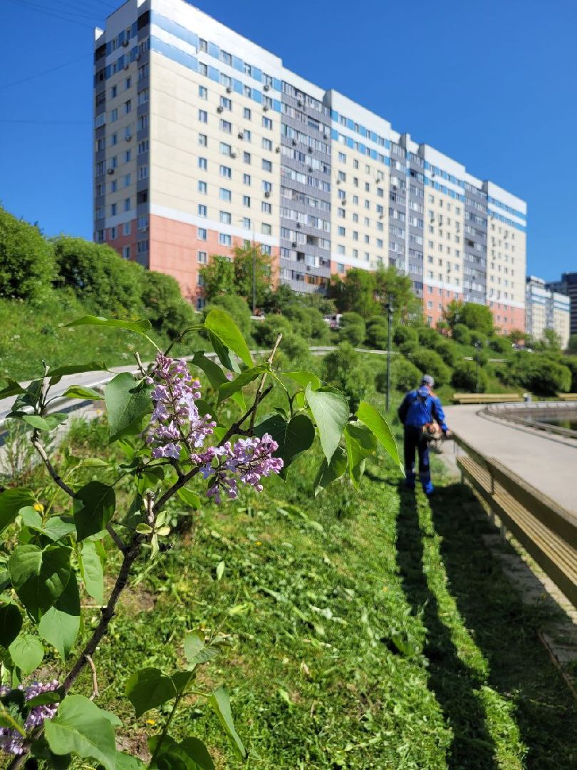 лето, ленинский округ, сезонные работы, покос