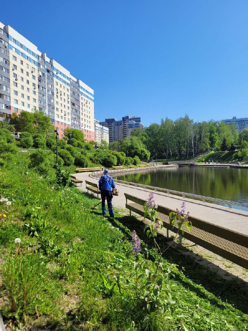 лето, ленинский округ, сезонные работы, покос