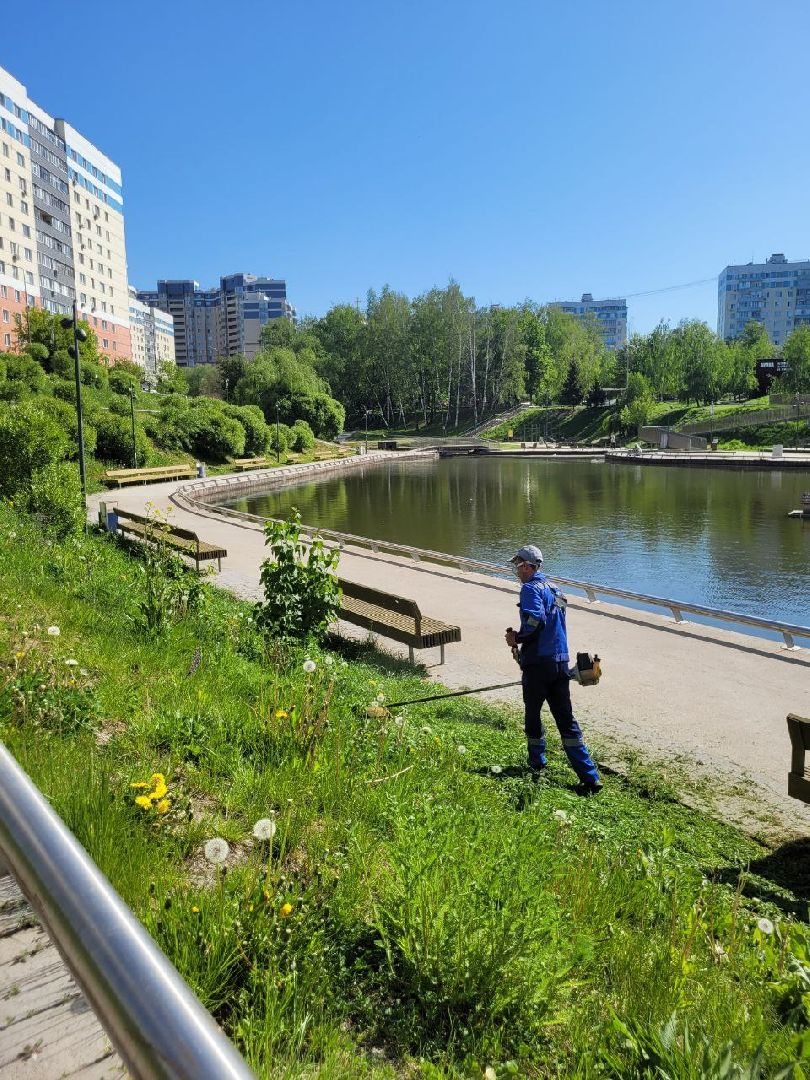 лето, ленинский округ, сезонные работы, покос