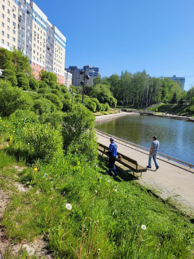 лето, ленинский округ, сезонные работы, покос