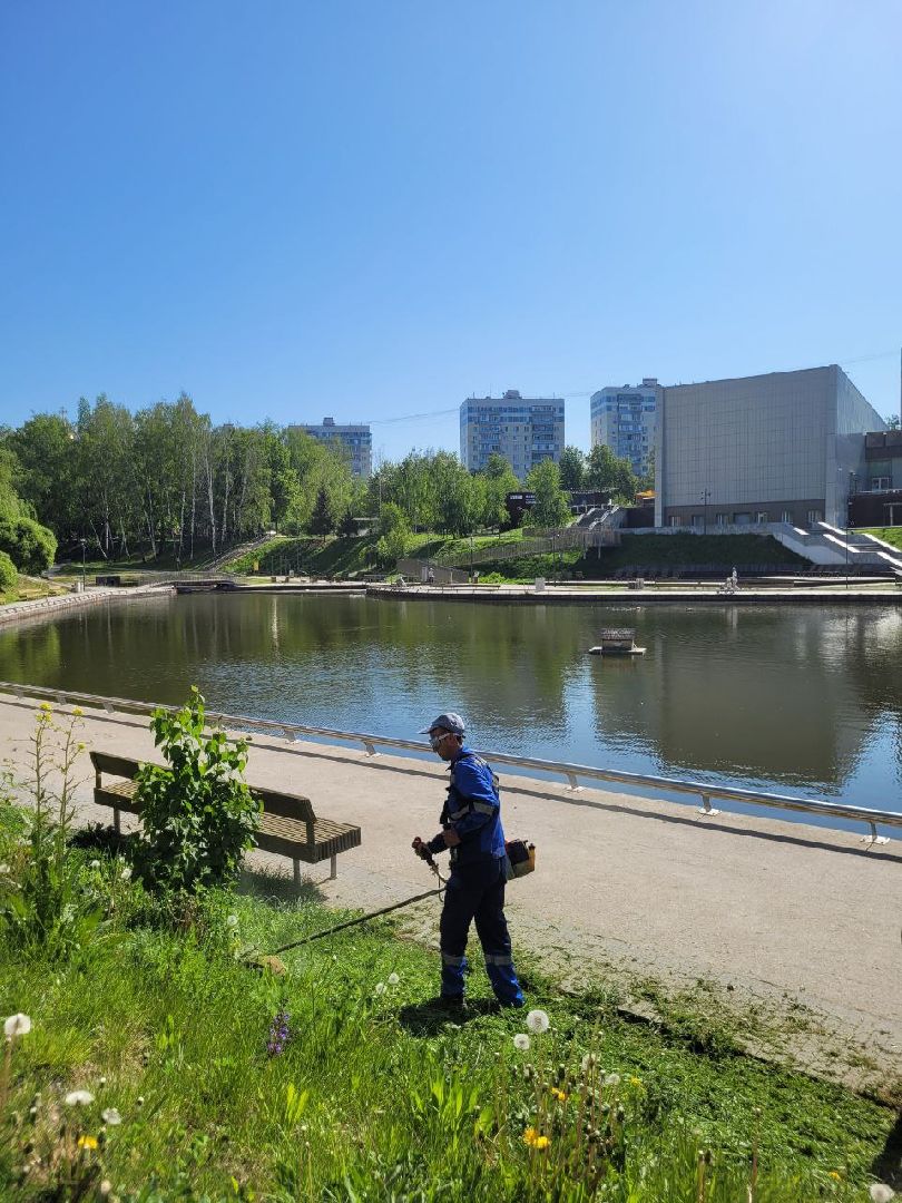 лето, ленинский округ, сезонные работы, покос