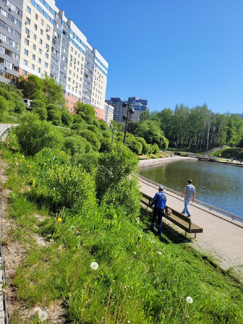 лето, ленинский округ, сезонные работы, покос