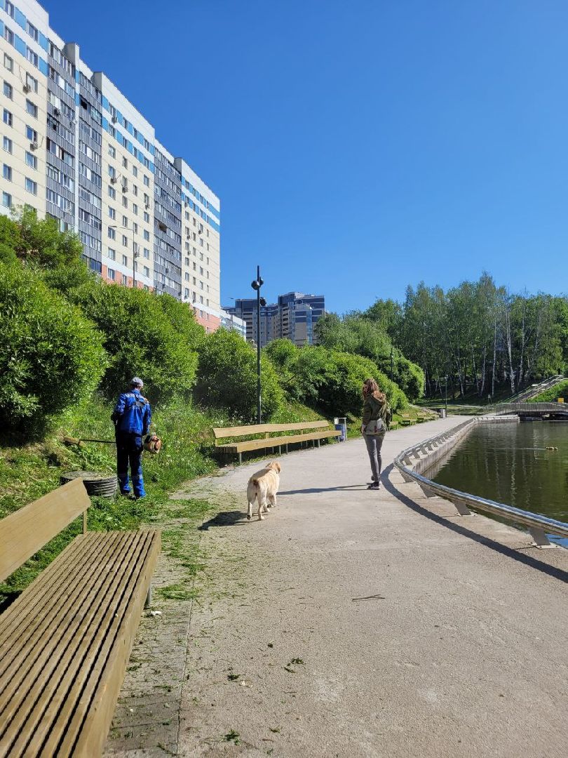 лето, ленинский округ, сезонные работы, покос