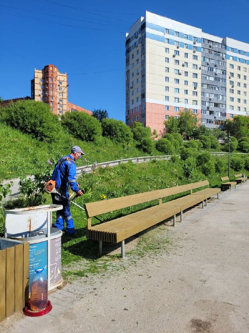 лето, ленинский округ, сезонные работы, покос