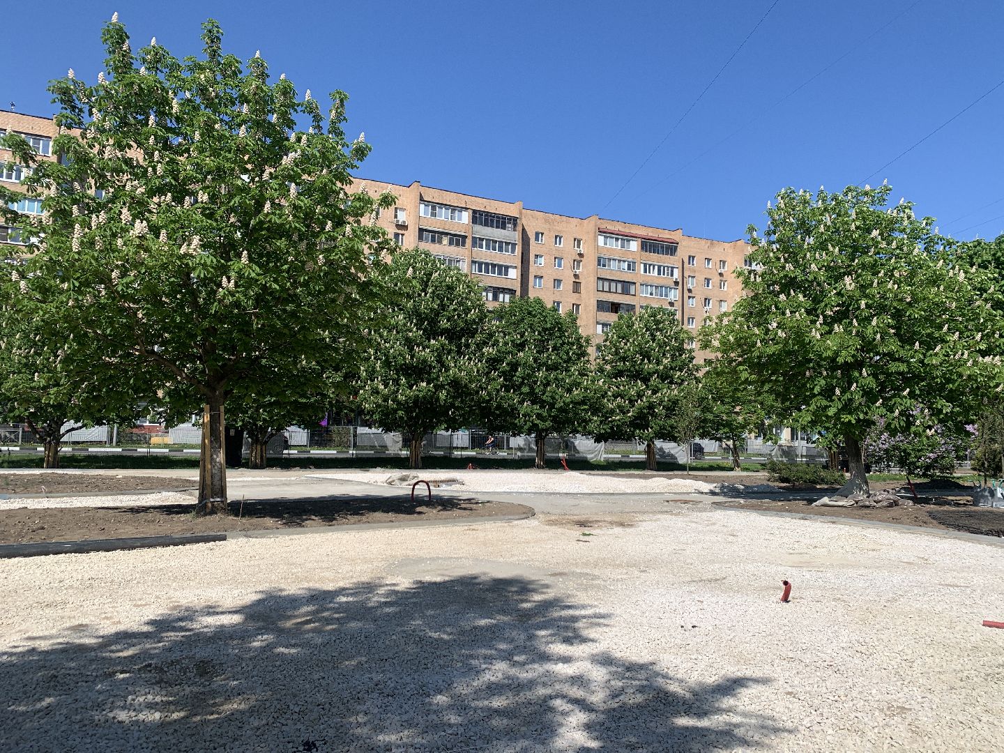 Балашиха, Подмосковье, благоустройство, Лес Победы, депутаты, Бульвар цветов