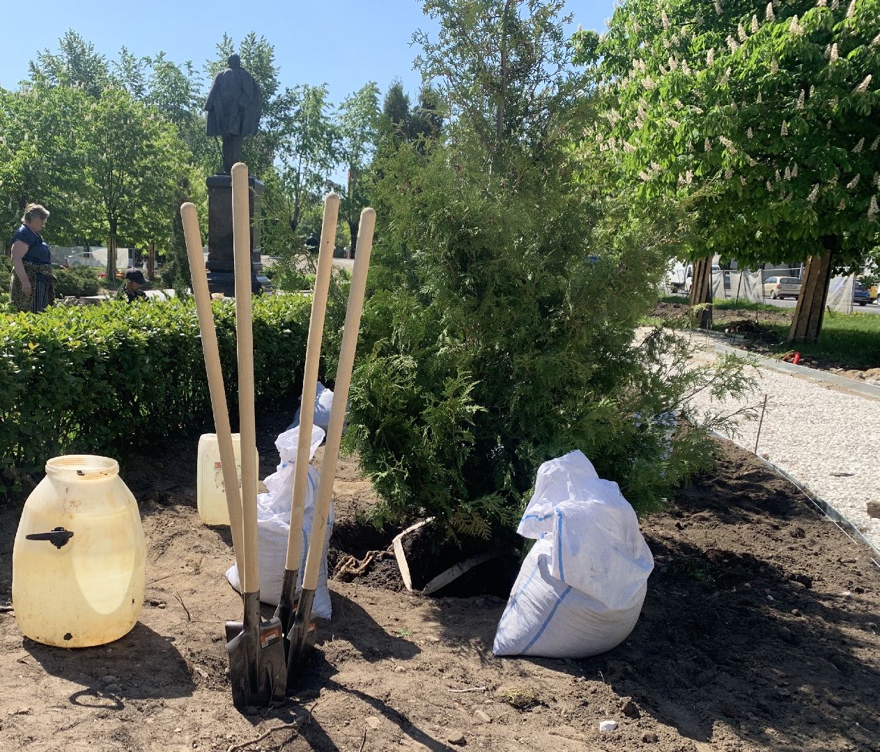 Балашиха, Подмосковье, благоустройство, Лес Победы, депутаты, Бульвар цветов