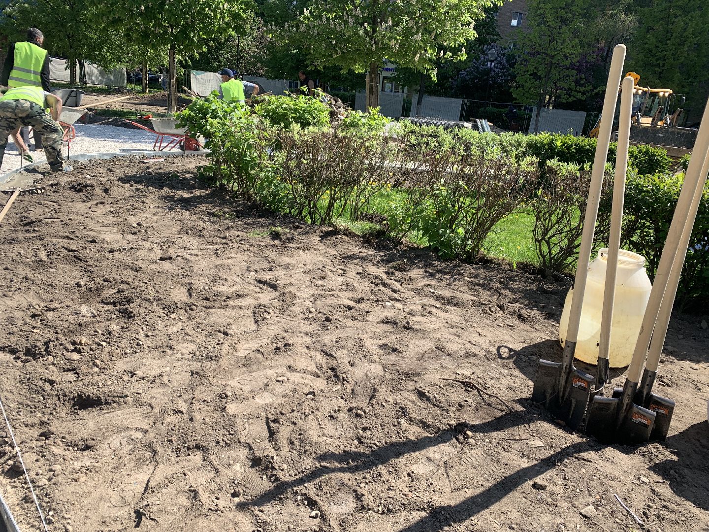 Балашиха, Подмосковье, благоустройство, Лес Победы, депутаты, Бульвар цветов