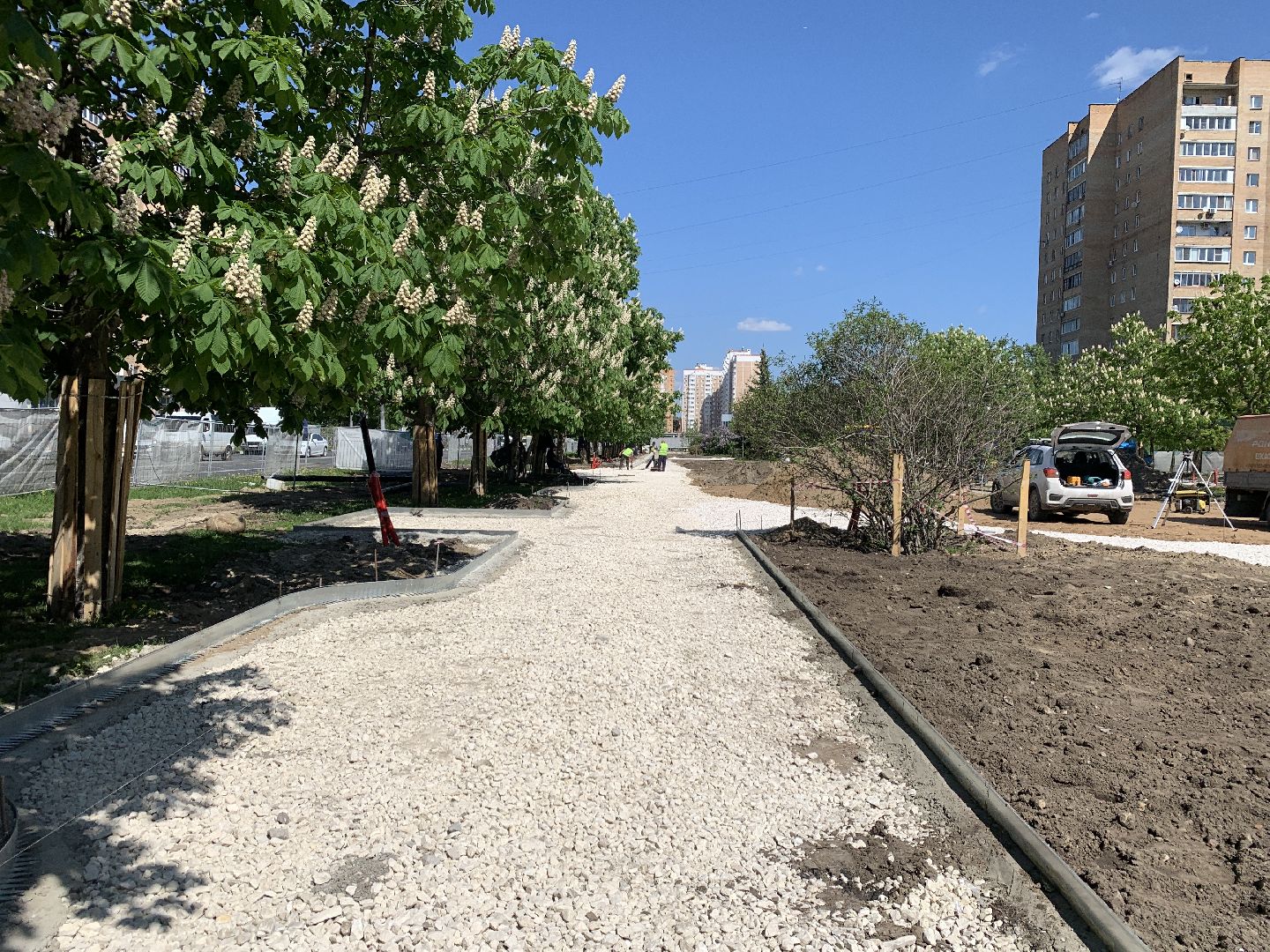 Балашиха, Подмосковье, благоустройство, Лес Победы, депутаты, Бульвар цветов