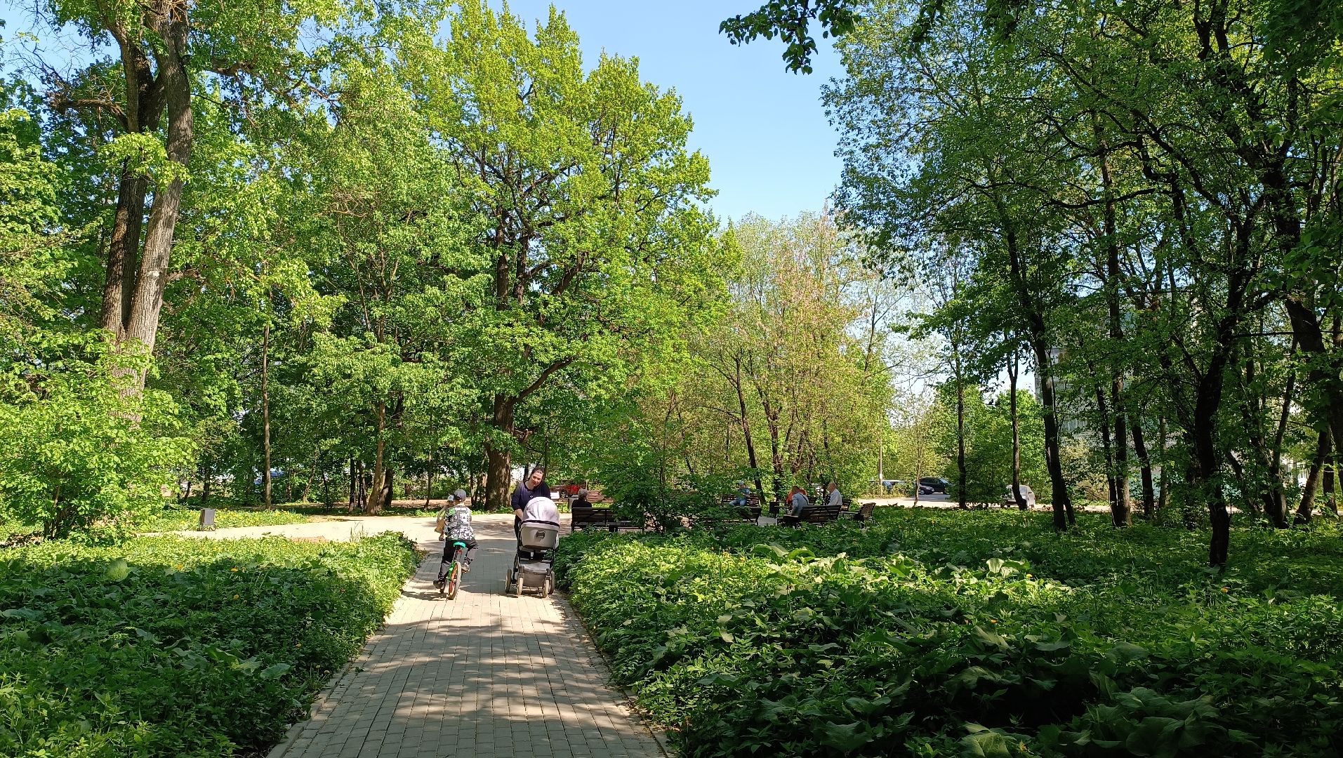 Лобня, благоустройство, сквер