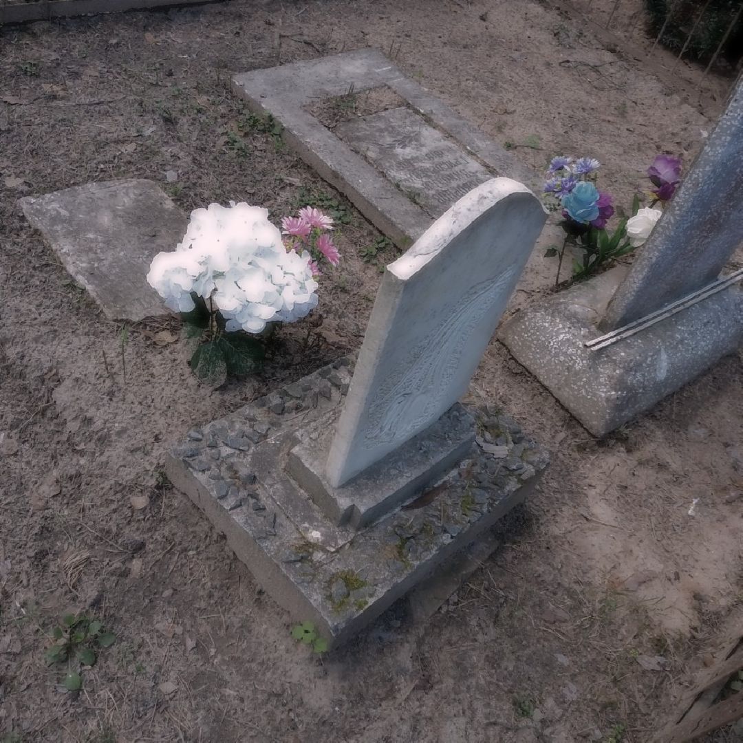 Звенигород, похитители 13 надгробий, кладбищенские воры, уголовное дело, УМВД по Одинцовского городскому округу, вандализм на кладбище