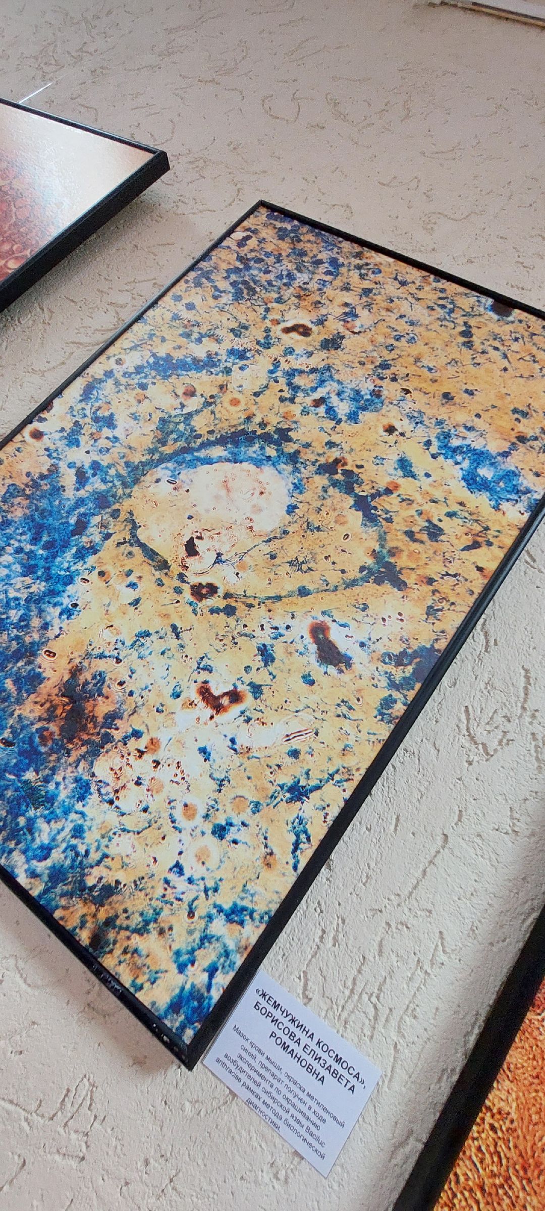 Пущино, культура, фотовыставка