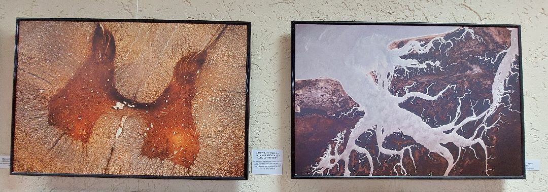 Пущино, культура, фотовыставка