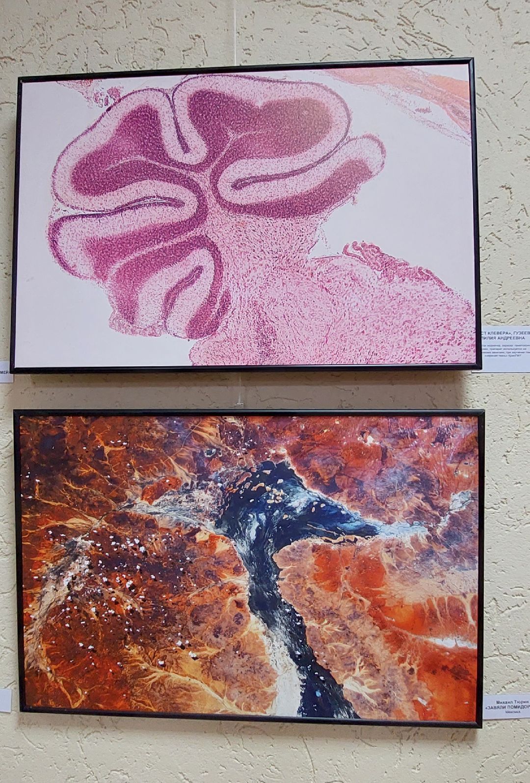 Пущино, культура, фотовыставка