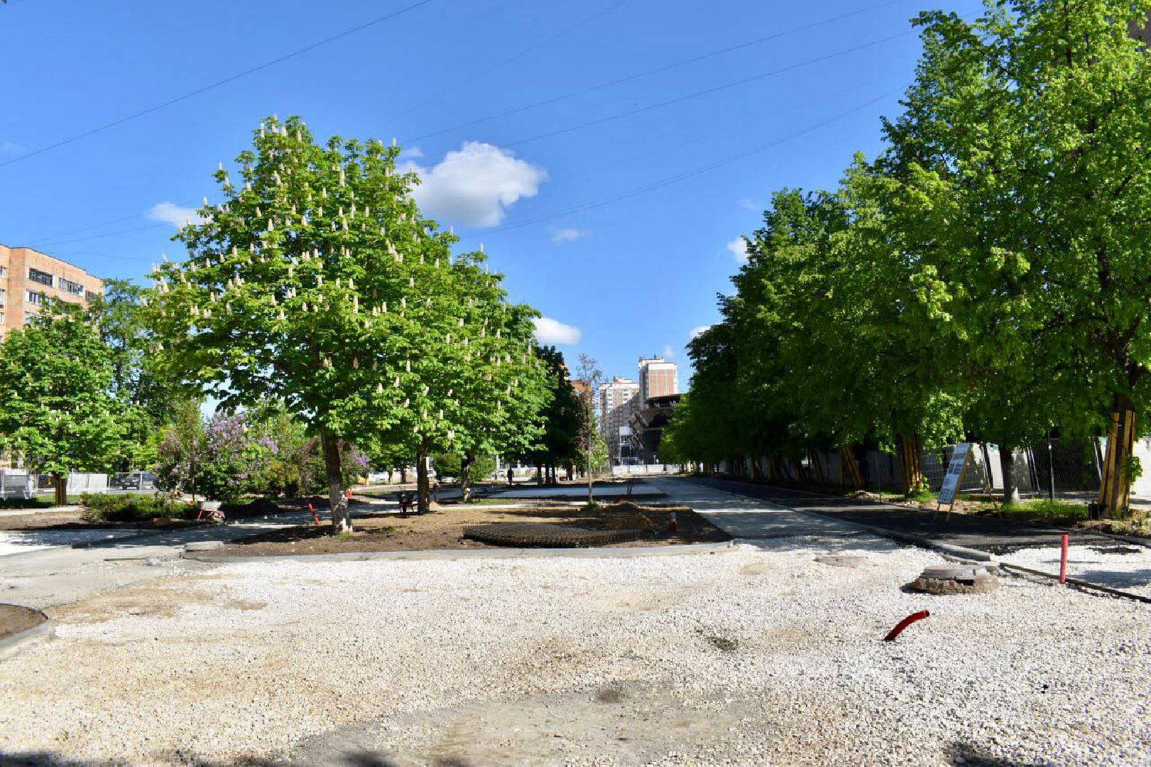 Балашиха, Подмосковье, благоустройство, Бульвар цветов, депутаты, Тарас Ефимов