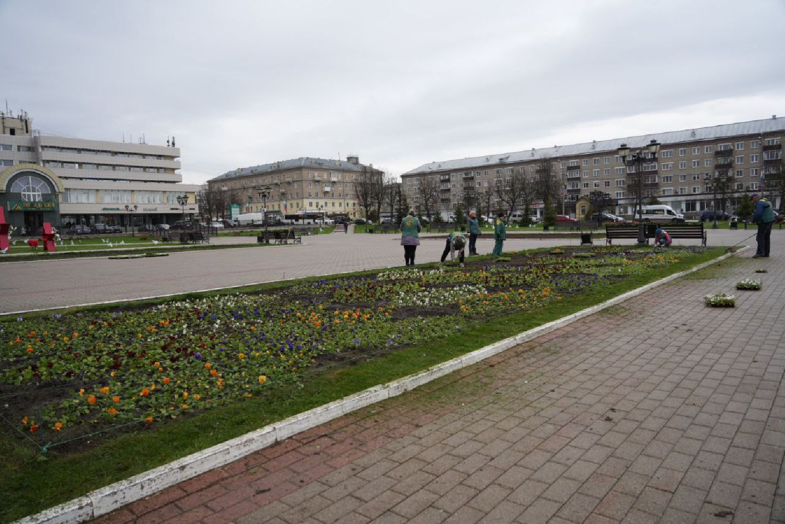 Сергиев Посад, Сергиево-Посадский городской округ, Благоустройство, Цветники, Красота, Города