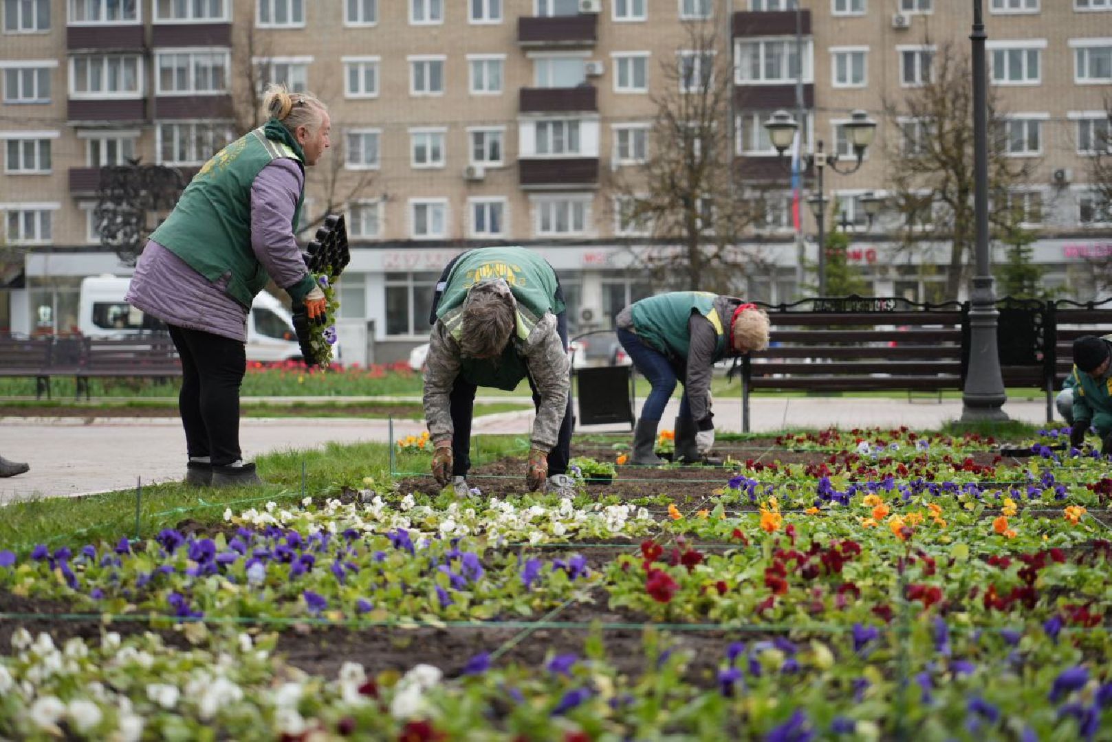 Сергиев Посад, Сергиево-Посадский городской округ, Благоустройство, Цветники, Красота, Города