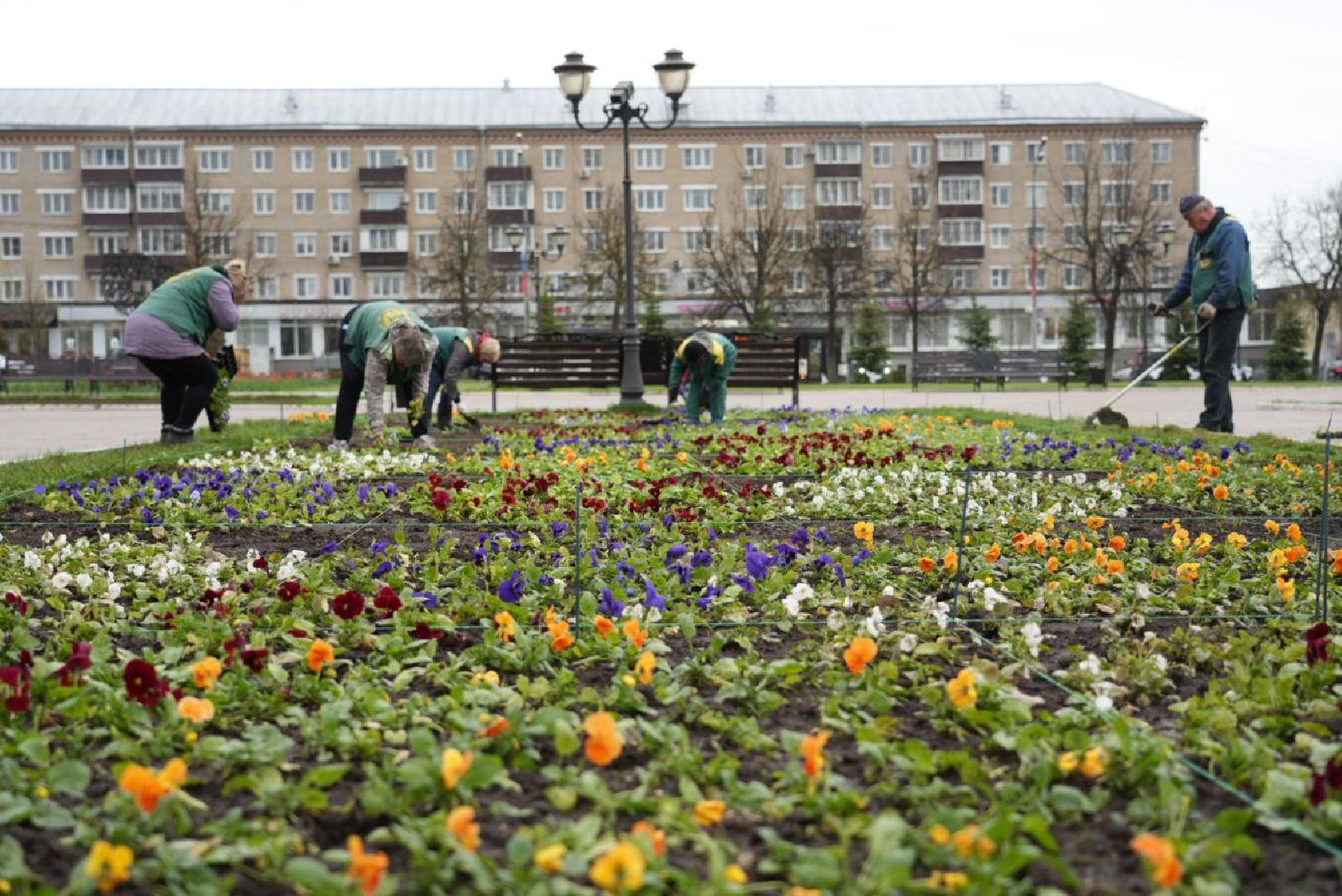 Сергиев Посад, Сергиево-Посадский городской округ, Благоустройство, Цветники, Красота, Города