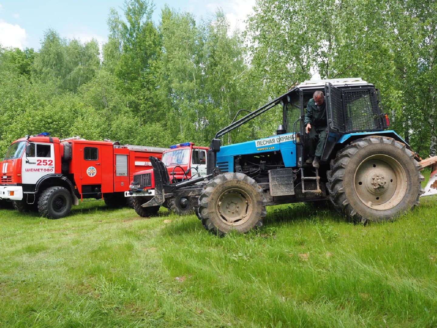 Сергиев Посад, Сергиево-Посадский городской округ, Безопасность, Пожароопасный сезон, Пожарные, Лес, Лесная охрана, Мособллес