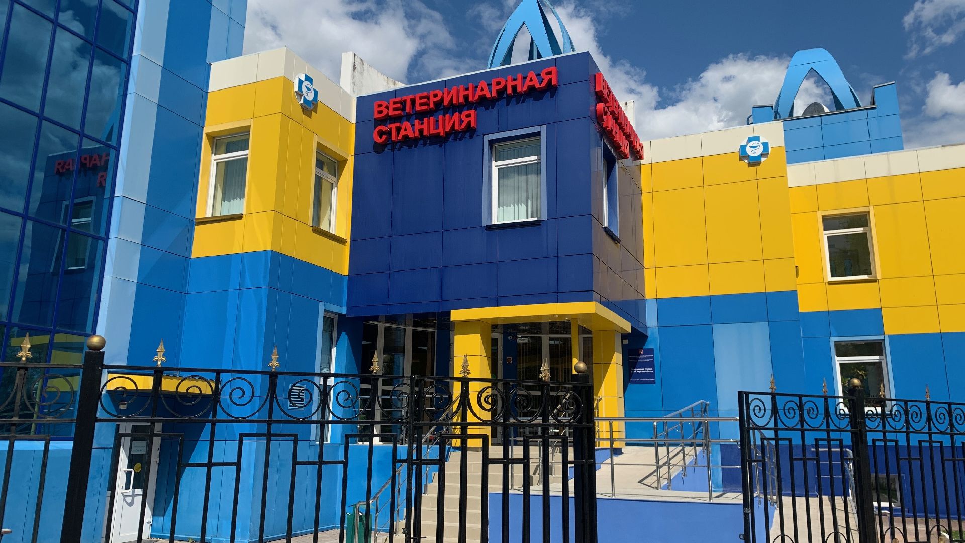 Ступино, ветстанция, медицина, госуслуги