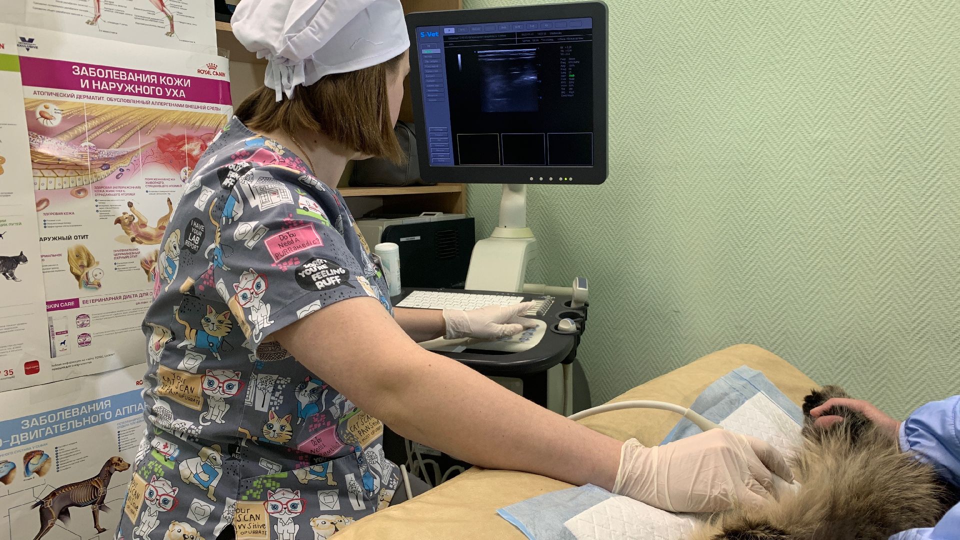 Ступино, ветстанция, медицина, госуслуги