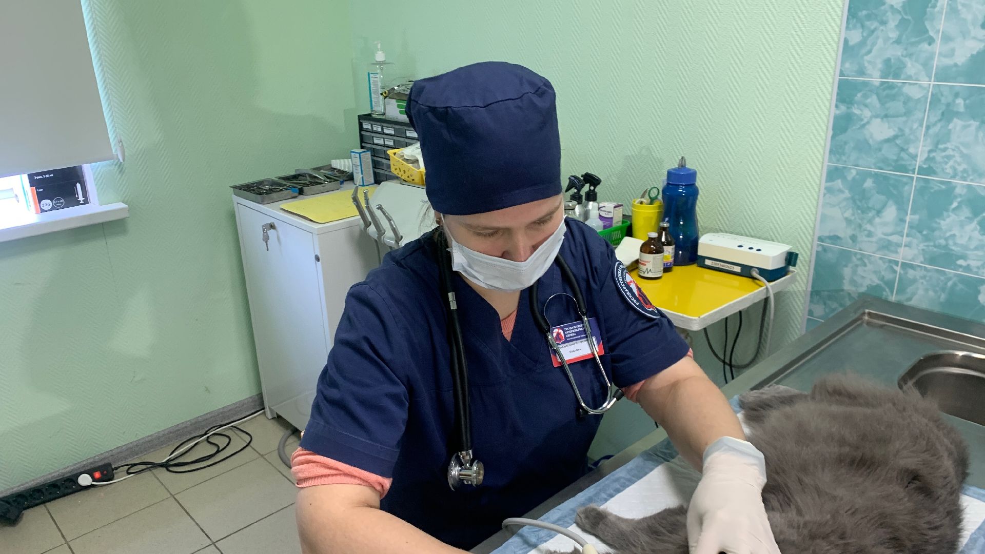 Ступино, ветстанция, медицина, госуслуги