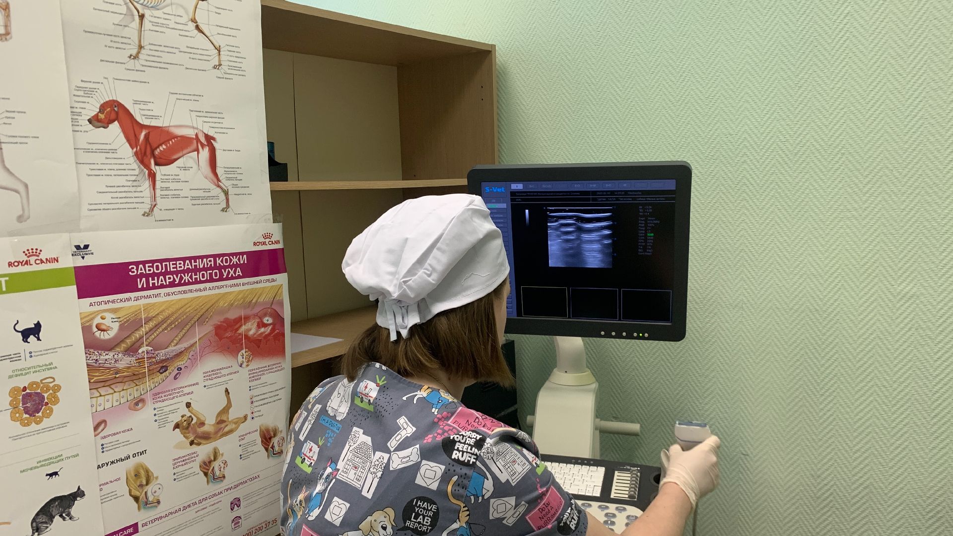 Ступино, ветстанция, медицина, госуслуги