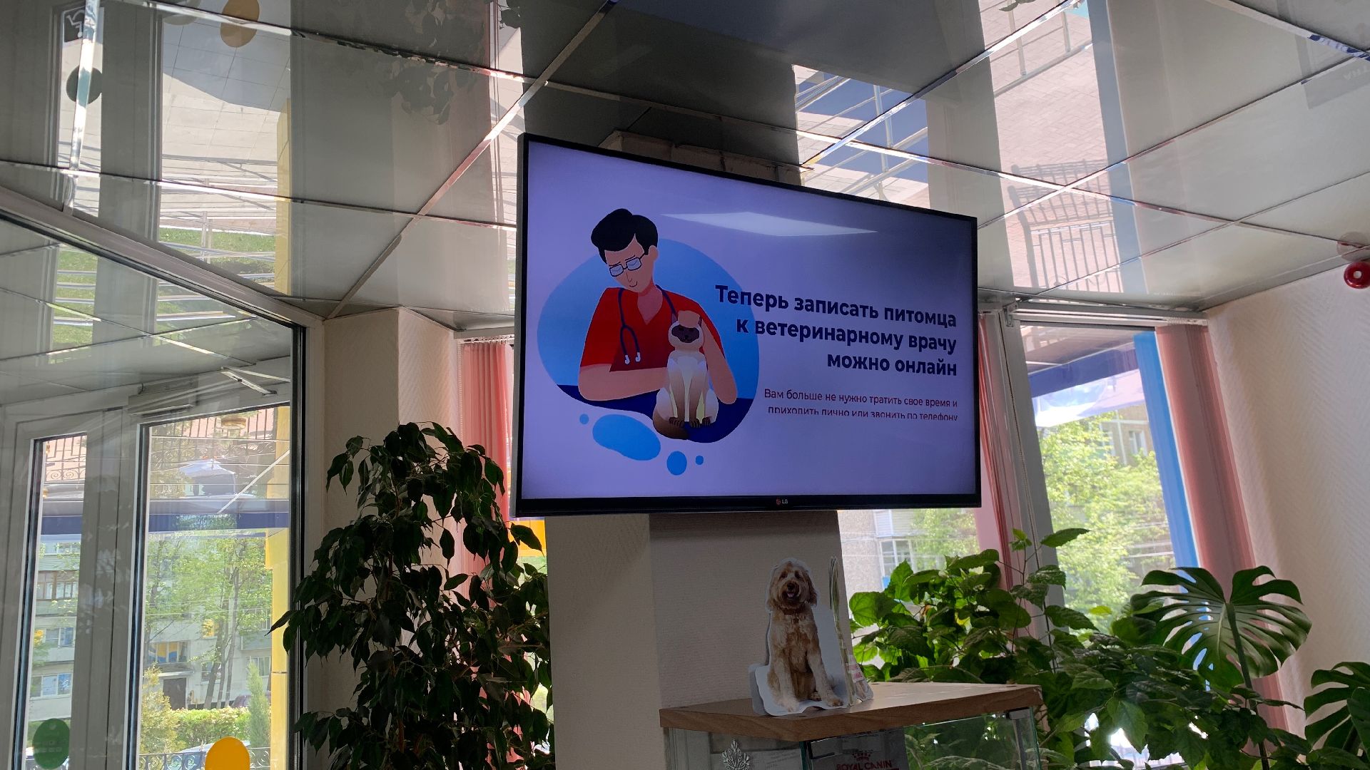 Ступино, ветстанция, медицина, госуслуги