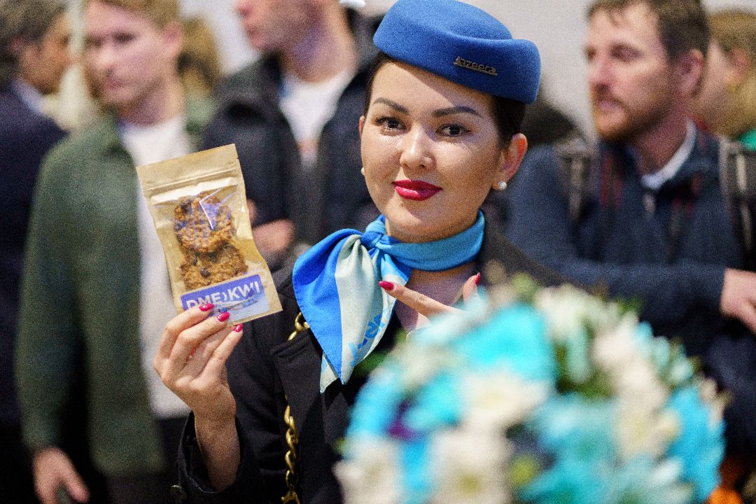 Домодедово, туризм