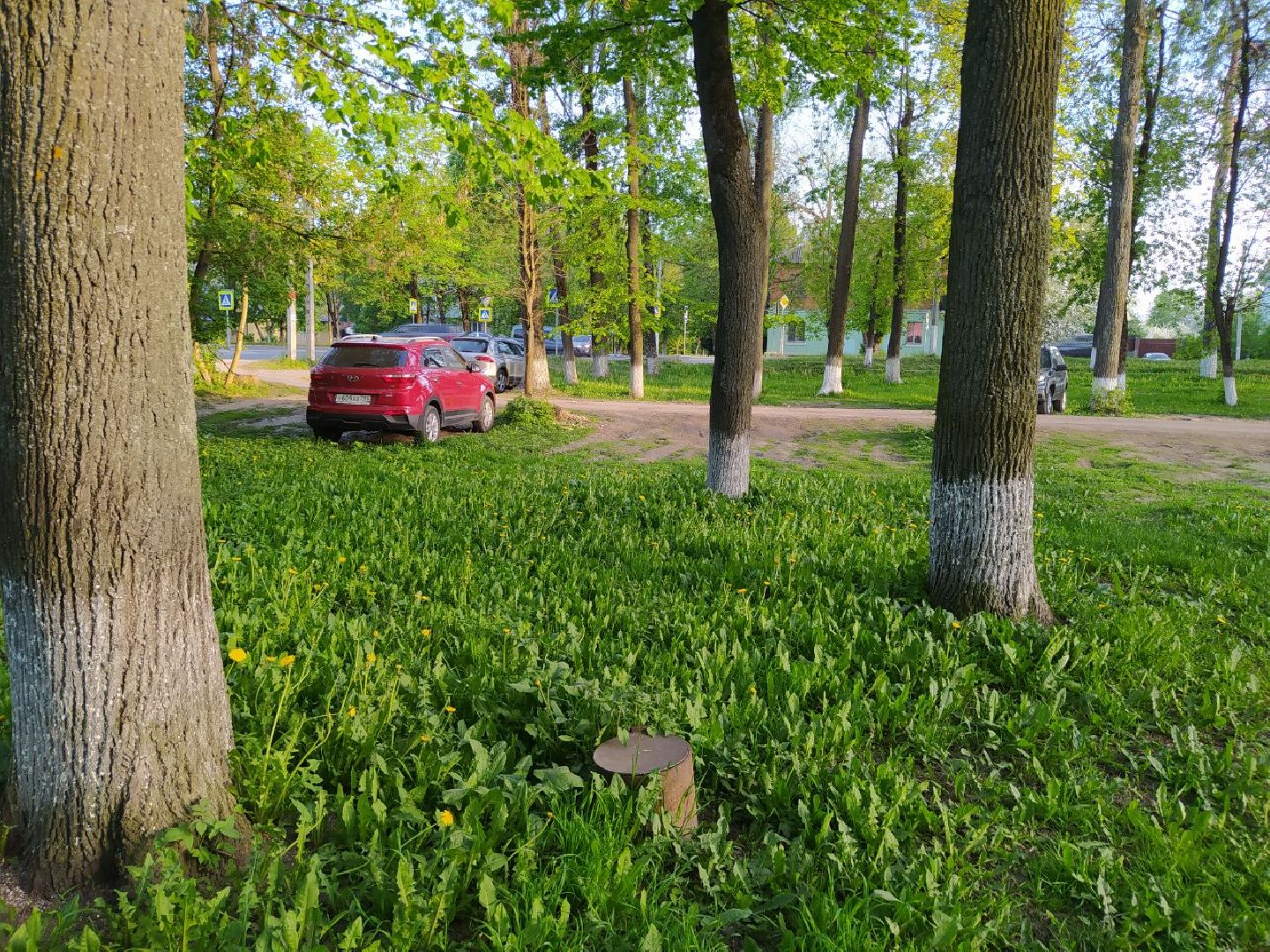 Истра, драматический театр, благоустройство