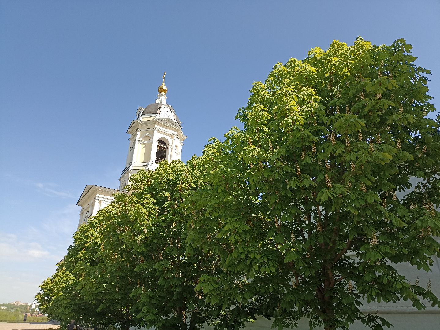 Серпухов, Подмосковье, Радонежский, монастырь, природа, туризм
