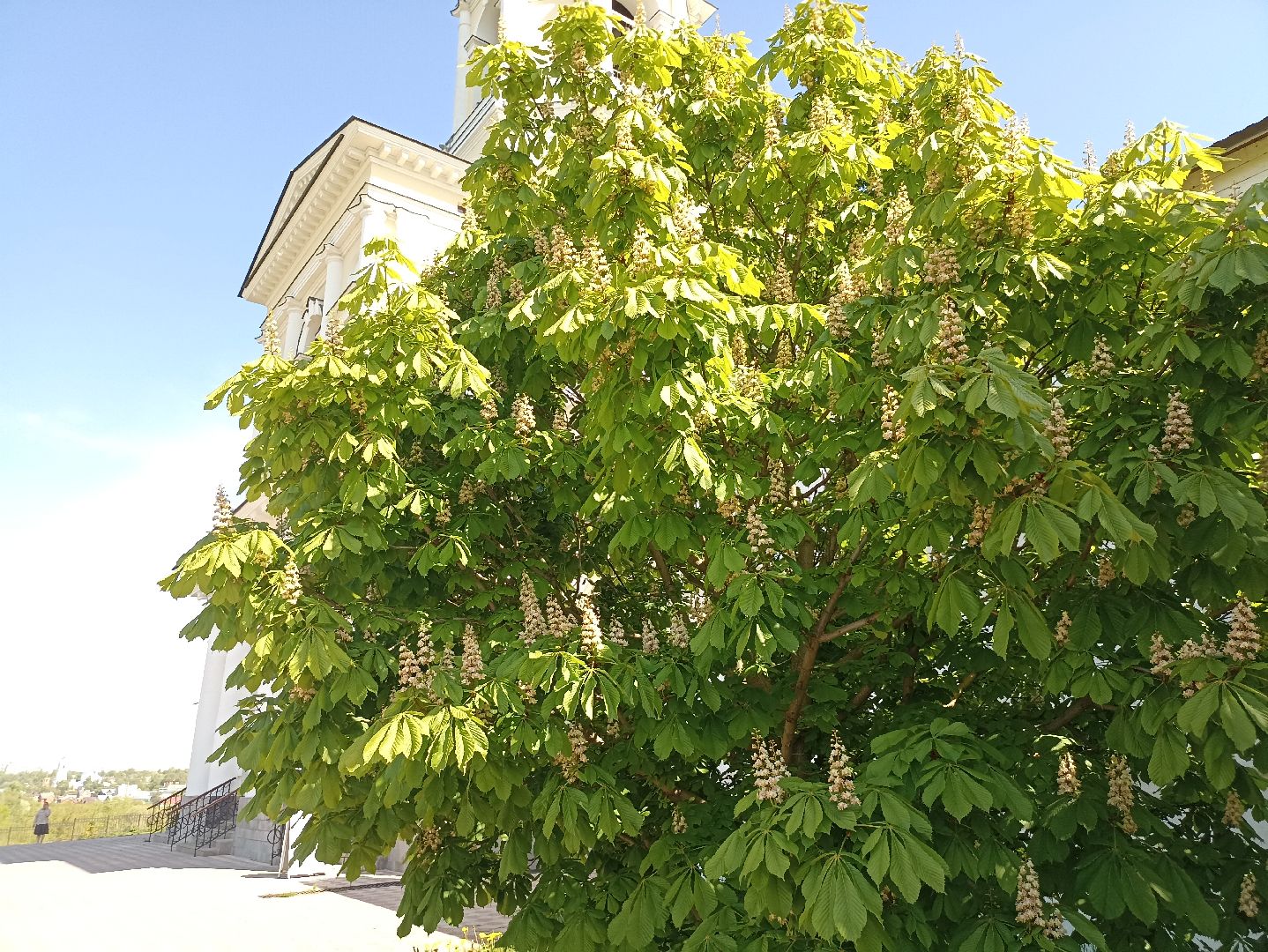 Серпухов, Подмосковье, Радонежский, монастырь, природа, туризм