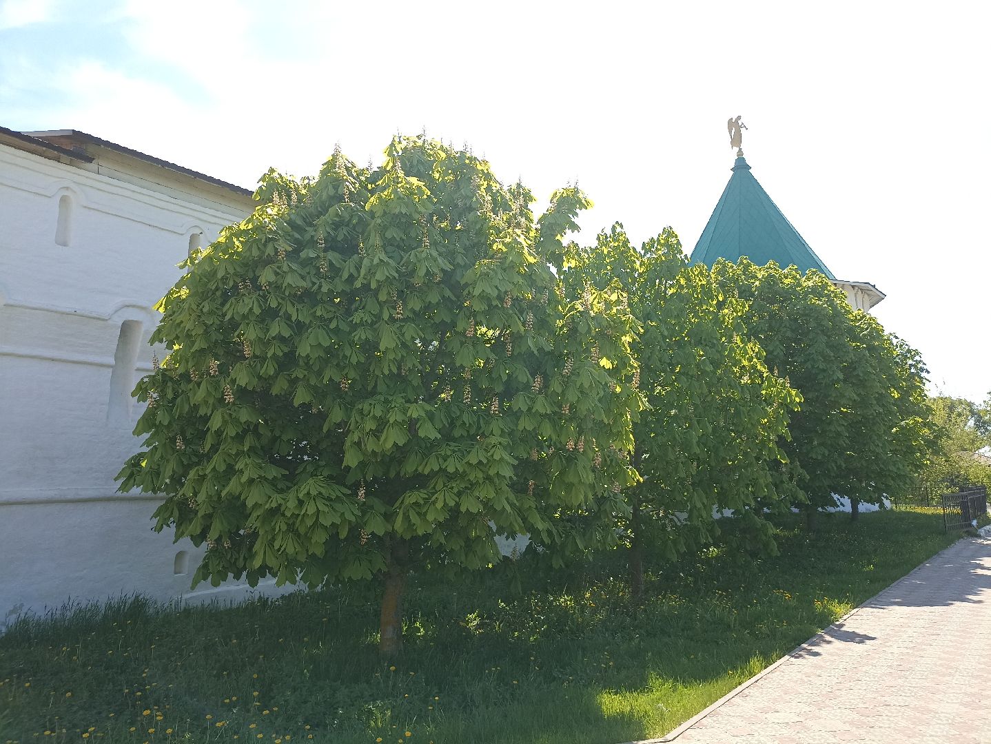 Серпухов, Подмосковье, Радонежский, монастырь, природа, туризм