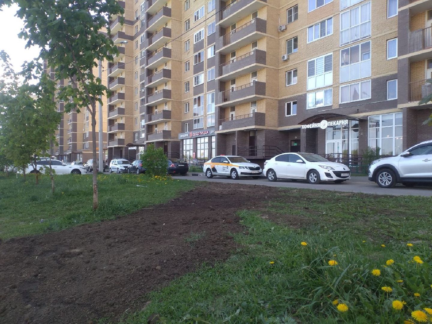 благоустройство, газон, Лосино-Петрвоский